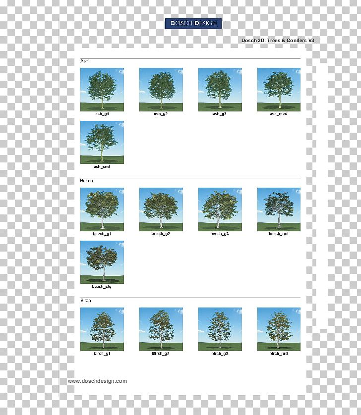 Tree Trunk 3D Computer Graphics Maxwell Render ArchiCAD PNG, Clipart, 3d Computer Graphics, Archicad, Autodesk Maya, Autodesk Softimage, Branch Free PNG Download