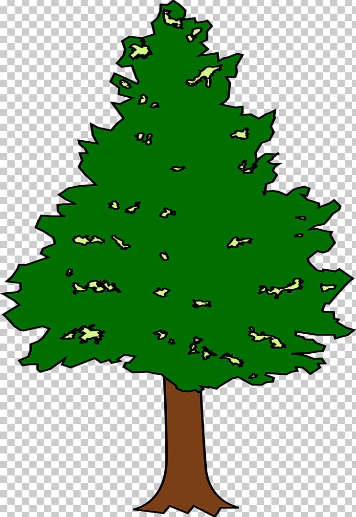 Spruce Fir Leaf Tree Plant PNG, Clipart, Branch, Christmas, Christmas Decoration, Christmas Ornament, Christmas Tree Free PNG Download