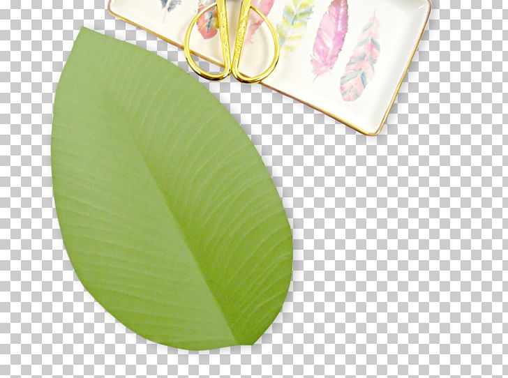 Paper Leaf Flower Worksheet Petal PNG, Clipart, Chart, Dahlia, Flower, Green, Greeting Note Cards Free PNG Download