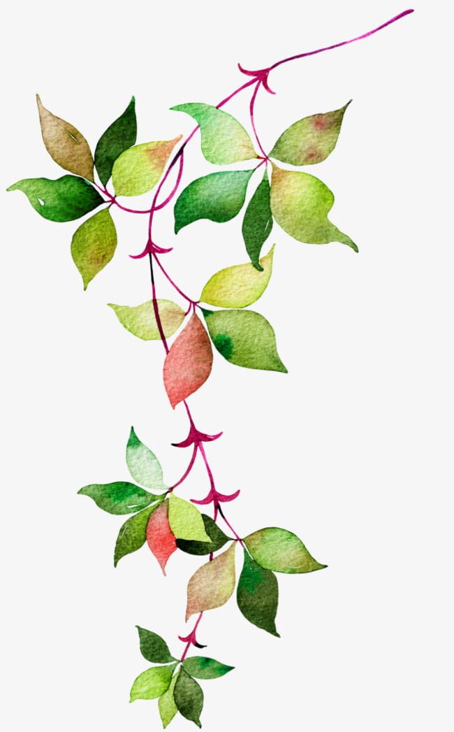 Watercolor Leaves PNG, Clipart, Autumn, Beginning, Cartoon, Decorate, Green Free PNG Download