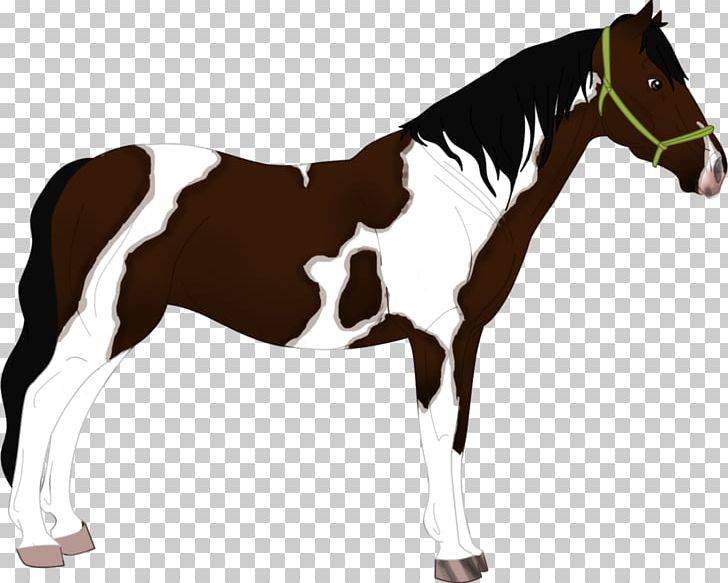 Mane Stallion Foal Mare Mustang PNG, Clipart, Bit, Bridle, Colt, Equestrian Sport, Foal Free PNG Download