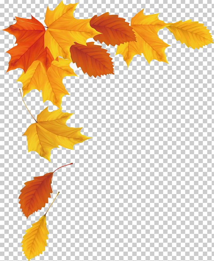 Maple Leaf Autumn PNG, Clipart, Autumnal, Autumn Background, Autumn Leaf, Autumn Leaf Color, Autumn Leaves Free PNG Download