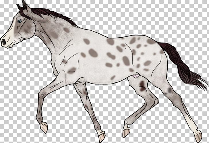 Mustang Foal Stallion Colt Mare PNG, Clipart, 54th Golden Horse Awards, Animal Figure, Bridle, Colt, Drawing Free PNG Download