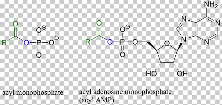 Amide Peptide Bond Amino Acid Functional Group Transfer RNA PNG, Clipart, Acid, Acyl Chloride, Acyl Group, Adenosine Monophosphate, Amide Free PNG Download
