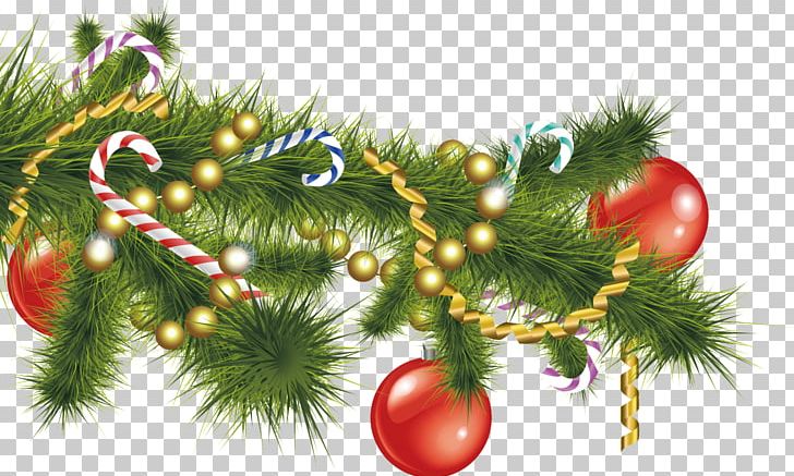 Christmas New Year Gift Word Sense Holiday PNG, Clipart, Border Frames, Branch, Christmas, Christmas Decoration, Christmas Ornament Free PNG Download