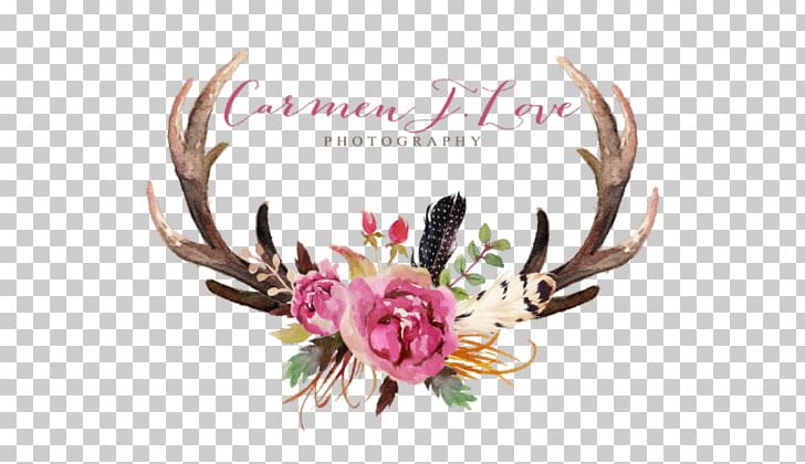 Deer Antler Floral Design Flower Moose PNG, Clipart, Animals, Antler, Cut Flowers, Deer, Feather Free PNG Download