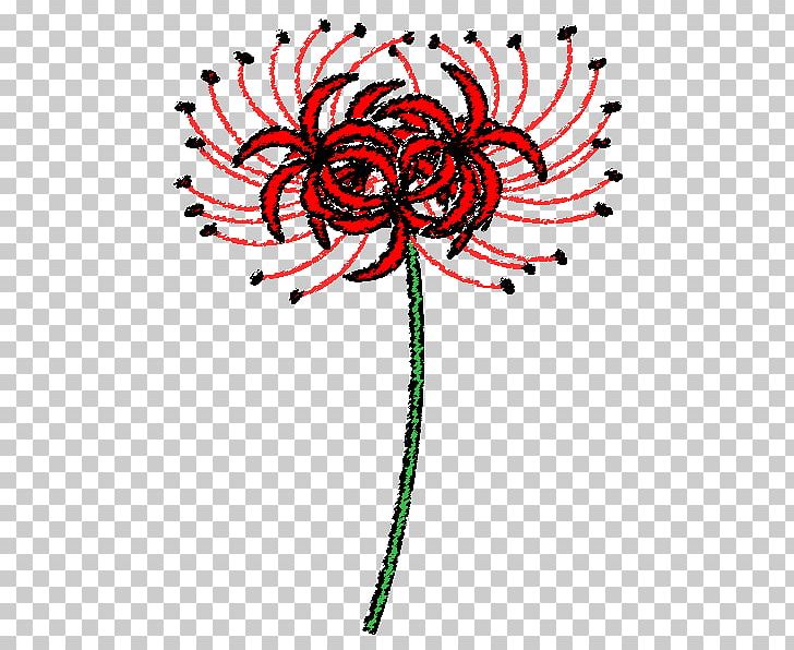 Floral Design Red Spider Lily Visual Arts Png Clipart Area Art Artwork Autumn Black And White