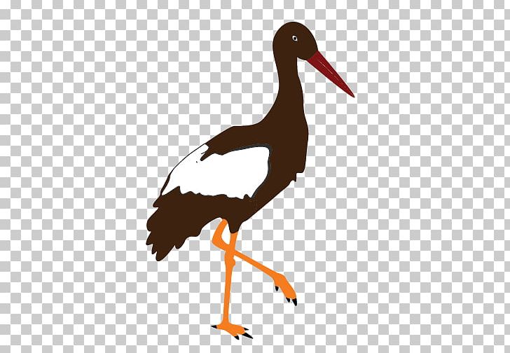 Marabou Stork PNG, Clipart, Beak, Bird, Ciconiiformes, Clip, Computer Icons Free PNG Download