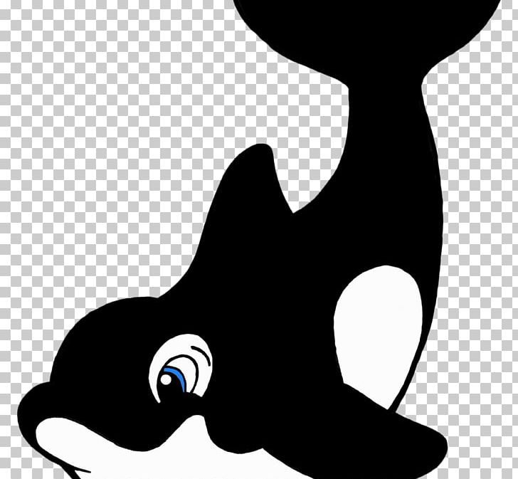 Sea Lion Drawing SeaWorld PNG, Clipart, Aquatic Animal, Black, Black And White, Carnivoran, Cartoon Free PNG Download