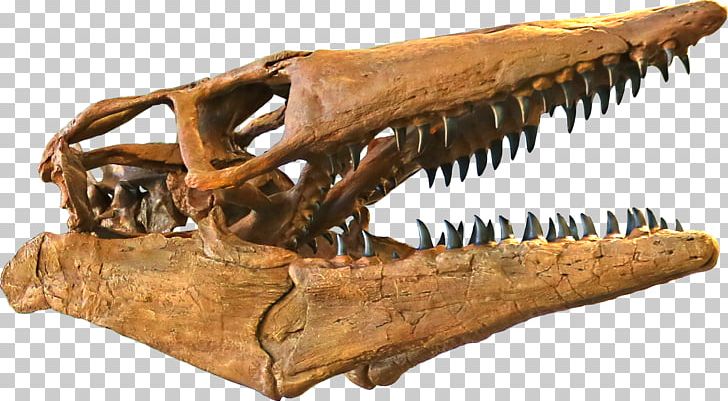 Tylosaurus Triceratops Western Interior Seaway Jurassic Park III: Park Builder Late Cretaceous PNG, Clipart, Cretaceous, Edmontosaurus, Elasmosaurus, Fantasy, Human Skeleton Free PNG Download