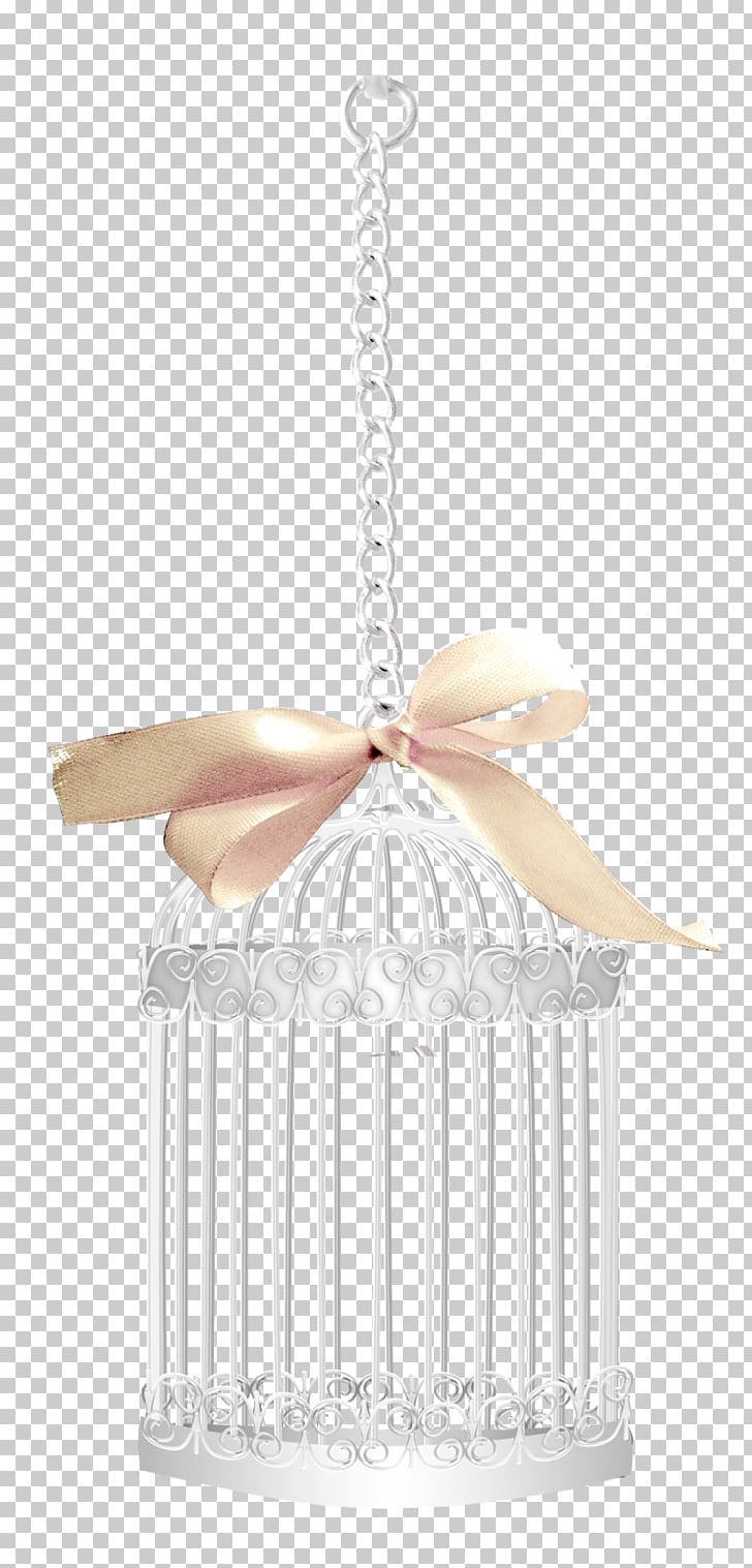 Birdcage Metal PNG, Clipart, Art, Bird, Birdcage, Cage, Ceiling Free PNG Download