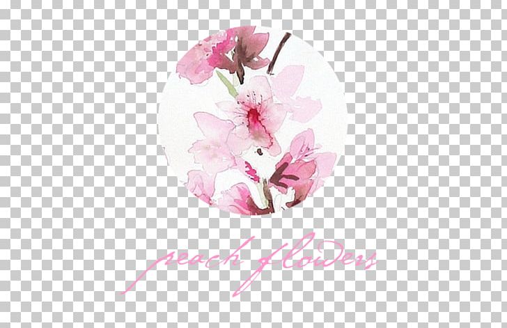 Flower Lilac Petal Violet Cherry Blossom PNG, Clipart, Blossom, Cherry, Cherry Blossom, Computer, Computer Wallpaper Free PNG Download