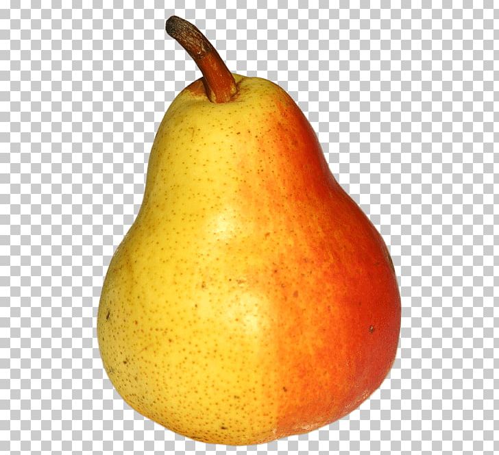 Pear Portable Network Graphics Fruit Auglis PNG, Clipart, 3d Computer Graphics, Accessory Fruit, Auglis, Computer Icons, Download Free PNG Download