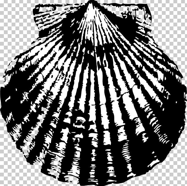 Pectinidae Seashell PNG, Clipart, Animals, Art, Black And White, Circle, Clams Oysters Mussels And Scallops Free PNG Download
