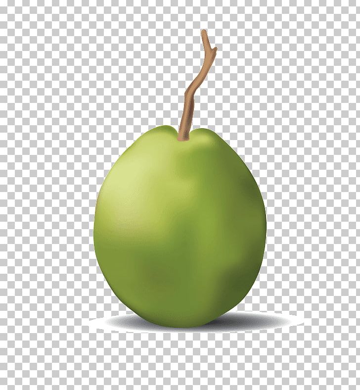 Apple Granny Smith Food PNG, Clipart, Apple, Food, Fruit, Fruit Nut, Granny Smith Free PNG Download