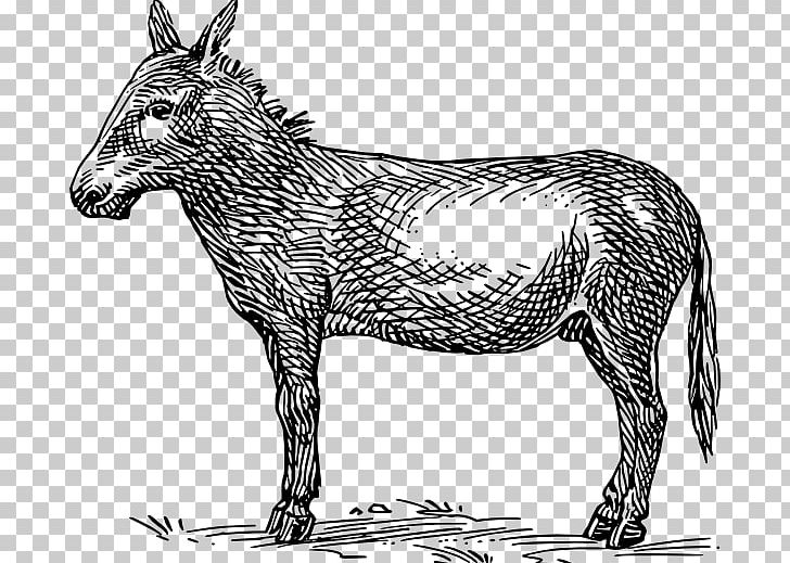 Donkey PNG, Clipart, Animals, Art, Black And White, Cartoon, Download Free PNG Download