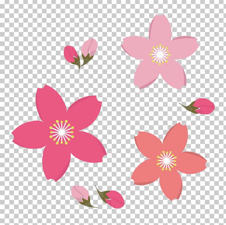 Frangipani Drawing PNG, Clipart, Art, Blossom, Cherry Blossoms, Drawing, Flora Free PNG Download