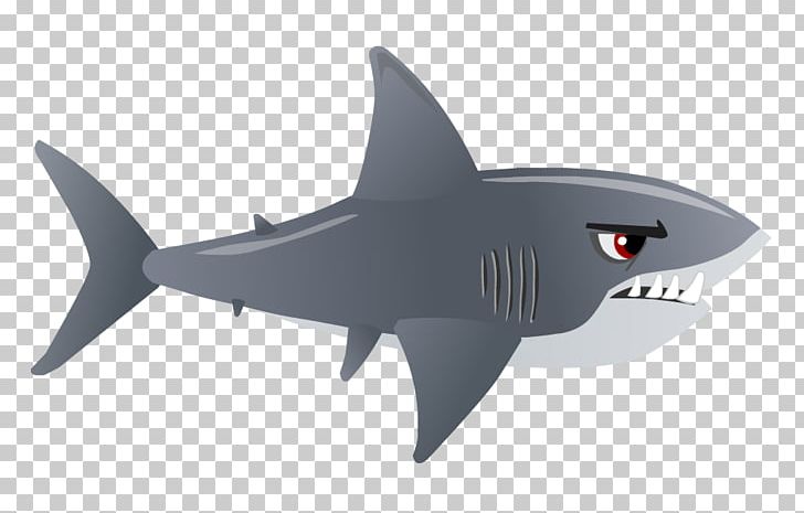 Shark PNG, Clipart, Albino, Animals, Basking Shark, Biology, Blue Shark Free PNG Download
