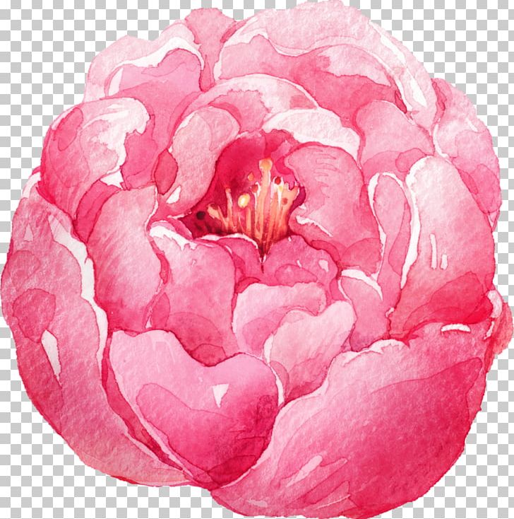 Watercolor: Flowers Watercolor Painting PNG, Clipart, Cartoon, Centifolia Roses, Color, Flower, Flower Vector Free PNG Download