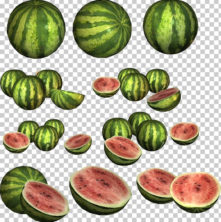 Watermelon Food Citrullus Lanatus PNG, Clipart, Citrullus, Citrullus Lanatus, Cucumber, Cucumber Gourd And Melon Family, Eating Free PNG Download