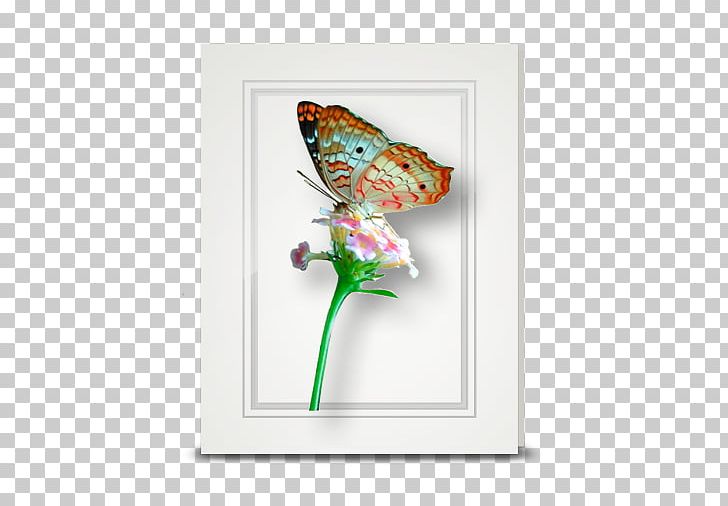 Butterfly Insect Pollinator Morpho Moth PNG, Clipart, Aglais Io, Animal, Animals, Butterflies And Moths, Butterfly Free PNG Download