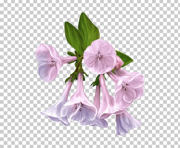 Flower Meteorology 0 PNG, Clipart, 2017, 2018, Blue, Cut Flowers, Flower Free PNG Download