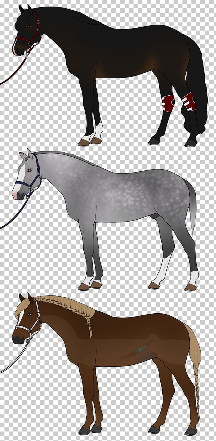 Mule Stock Photography PNG, Clipart, Animals, Donkey, Fauna, Fictional Character, Halter Free PNG Download