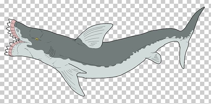 Requiem Sharks Edestus Helicoprion Cartilaginous Fishes PNG, Clipart, Animal, Animal Figure, Artwork, Cartilaginous Fish, Cartilaginous Fishes Free PNG Download