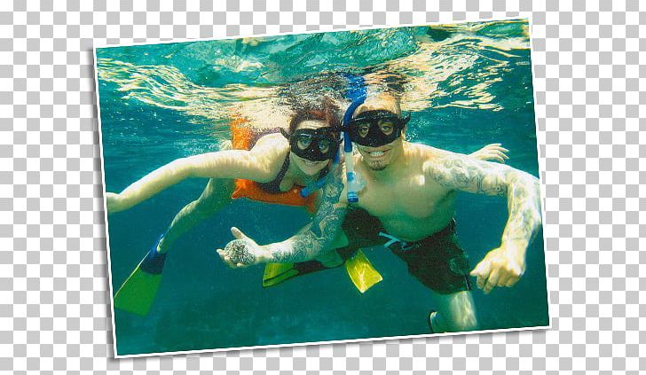 Snorkeling Underwater Animal PNG, Clipart, Animal, Aqua, Beach Bum, Leisure, Organism Free PNG Download