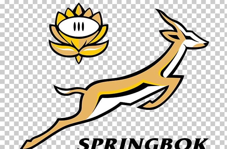 South Africa National Rugby Union Team The Rugby Championship New Zealand National Rugby Union Team Argentina National Rugby Union Team PNG, Clipart, Animals, Artwork, Beak, Black, Fauna Free PNG Download