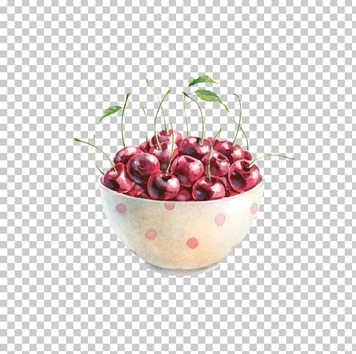 Cherry Blossom Drawing PNG, Clipart, Auglis, Berry, Bowl, Cerasus, Cherry Free PNG Download