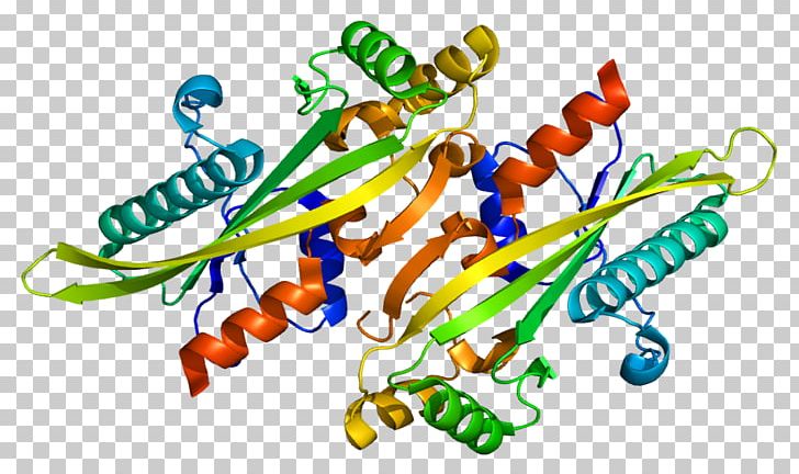 Protein Structure Gene Wiki Enzyme PNG, Clipart, Body Jewelry, Enzyme, Gene Wiki, Langage Humain, Language Free PNG Download
