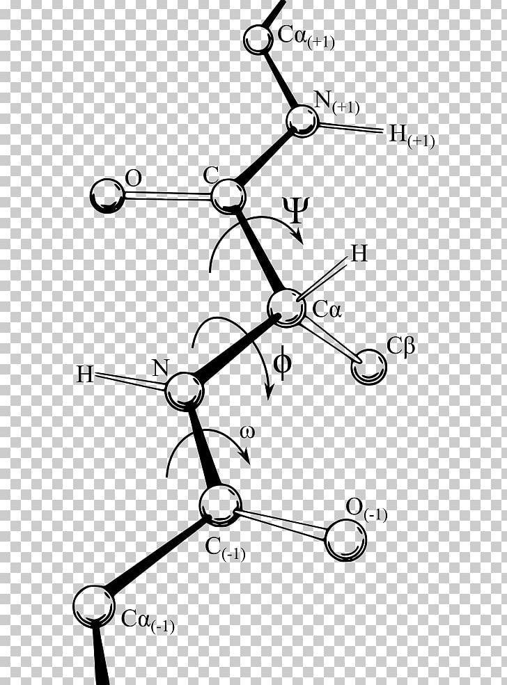 Ramachandran Plot Dihedral Angle Protein Structure PNG, Clipart, Alpha Helix, Amino Acid, Angle, Area, Auto Part Free PNG Download