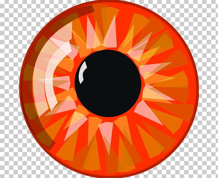 Human Eye Blue Iris PNG, Clipart, Blue, Circle, Color, Eye, Eyebrow Free PNG Download