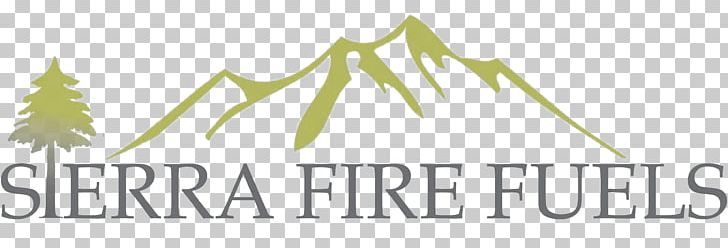 Logo Text Font Conflagration Area M PNG, Clipart, Area, Brand, Conflagration, Grass, Iri Free PNG Download