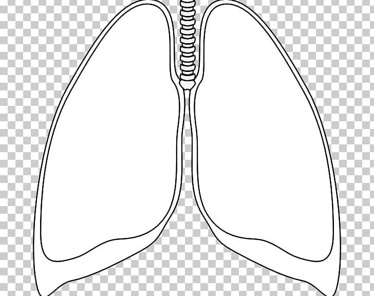 Lung Pneumothorax PNG, Clipart, Angle, Area, Black And White, Bronchus, Ceramic Free PNG Download