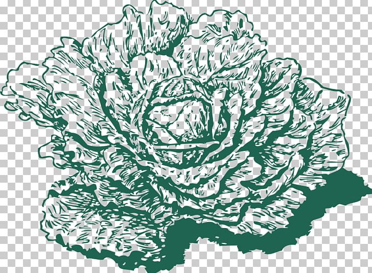 Red Cabbage Savoy Cabbage Collard Greens PNG, Clipart, Artwork, Black And White, Brassica Oleracea, Cabbage, Collard Greens Free PNG Download