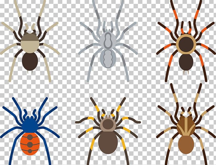 Spider Tarantula PNG, Clipart, Animal, Arachnid, Arthropod, Black, Black Widow Free PNG Download