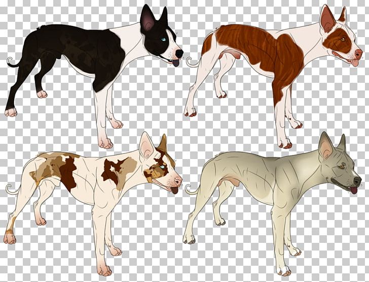 Dog Breed Whippet Ibizan Hound Bulldog Art PNG, Clipart, 08626, Adoption, Art, Artist, Breed Free PNG Download
