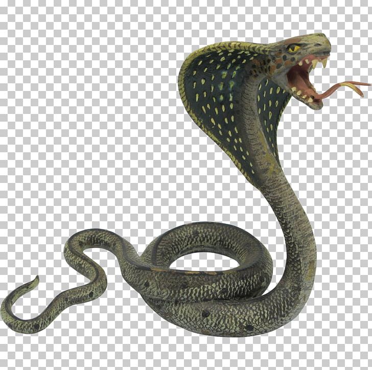 Snake King Cobra Indian Cobra PNG, Clipart, Animals, Cobra, Colubridae, Desktop Wallpaper, Diagram Free PNG Download