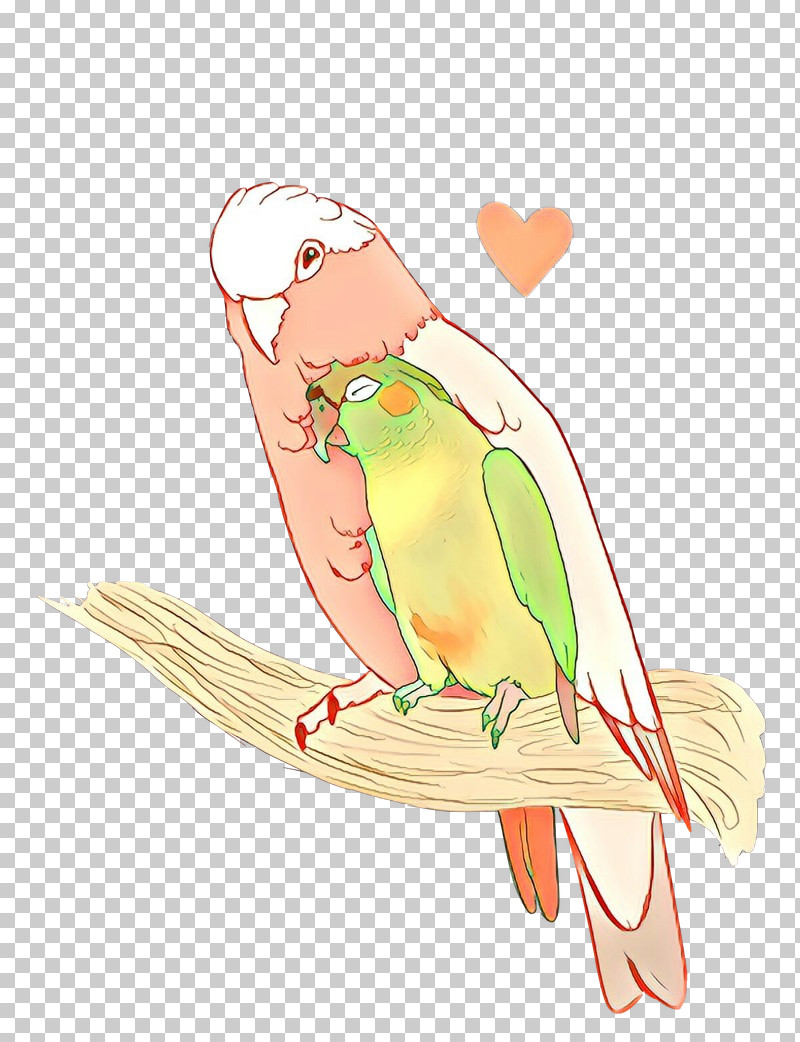 Lovebird PNG, Clipart, Beak, Bird, Bird Supply, Bird Toy, Budgie Free PNG Download