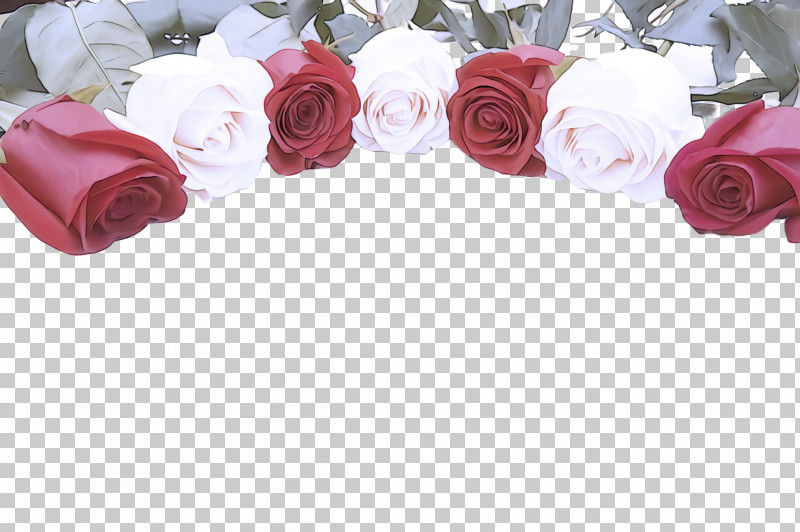 Garden Roses PNG, Clipart, Cut Flowers, Flower, Garden Roses, Petal, Pink Free PNG Download