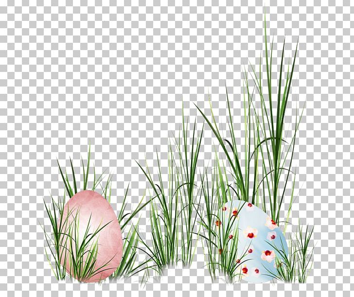 Grass Eggs PNG, Clipart, Cake, Chocolate, Cupcake, Decorative Patterns, Design Free PNG Download