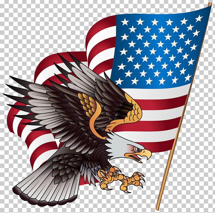 United States T-shirt American Eagle Outfitters PNG, Clipart, American Eagle Outfitters, Bald Eagle, Beak, Bird, Bird Of Prey Free PNG Download