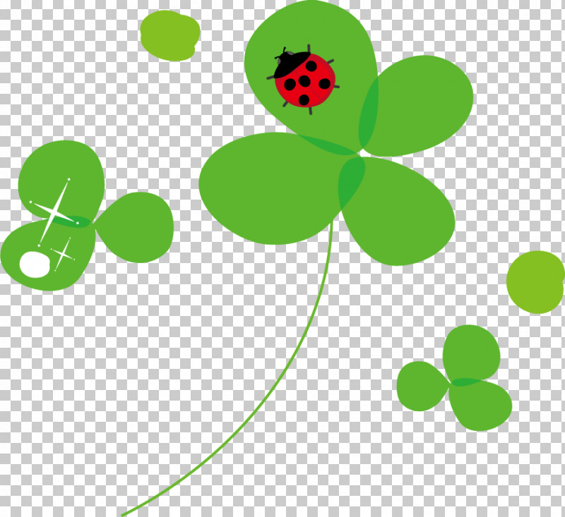 Plant Stem Ladybird Beetle Line Plants Biology PNG, Clipart, Biology, Ladybird Beetle, Leaf, Line, Plants Free PNG Download