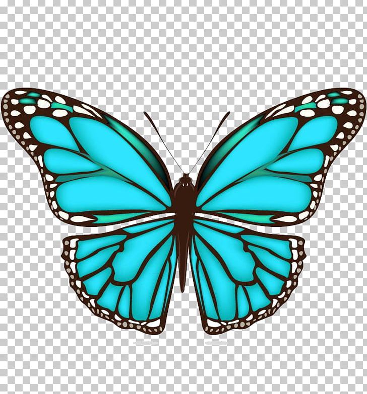 Butterfly PNG, Clipart, Adobe Illustrator, Brush Footed Butterfly, Creative Ads, Creative Artwork, Creative Background Free PNG Download