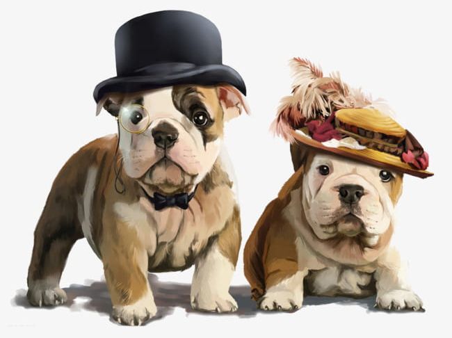 Cute Dog PNG, Clipart, Anim, Animal, Brown, Bulldog, Canine Free PNG Download