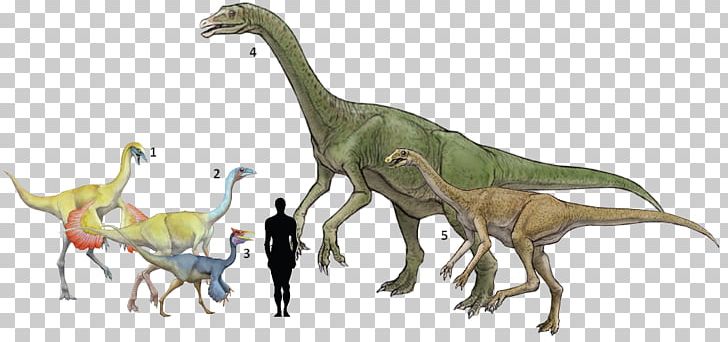 Deinocheirus Pelecanimimus Gallimimus Ornithomimus Alxasaurus PNG, Clipart, Alxasaurus, Animal, Animal Figure, Deinocheirus, Dinosaur Free PNG Download