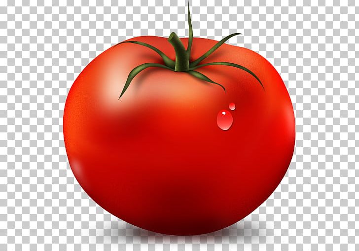 Tomato Vegetable Fruit Icon PNG, Clipart, Apple, Bell Pepper, Bush Tomato, Carrot, Cartoon Free PNG Download