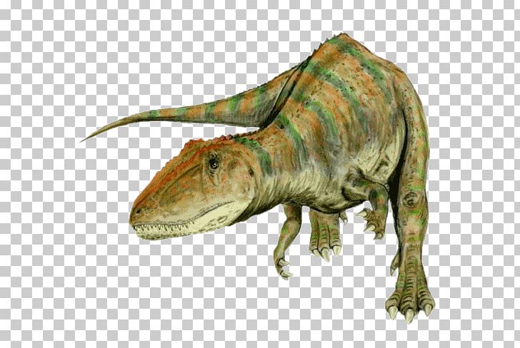 Carcharodontosaurus Giganotosaurus Tyrannosaurus Spinosaurus Allosaurus PNG, Clipart, Altispinax, Animal, Carcharodontosauridae, Carnivore, Carnivorous Free PNG Download